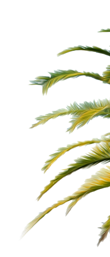 palmtree2